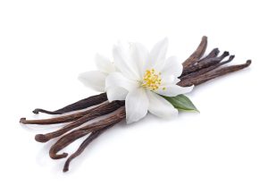 Jasmine with vanilla
